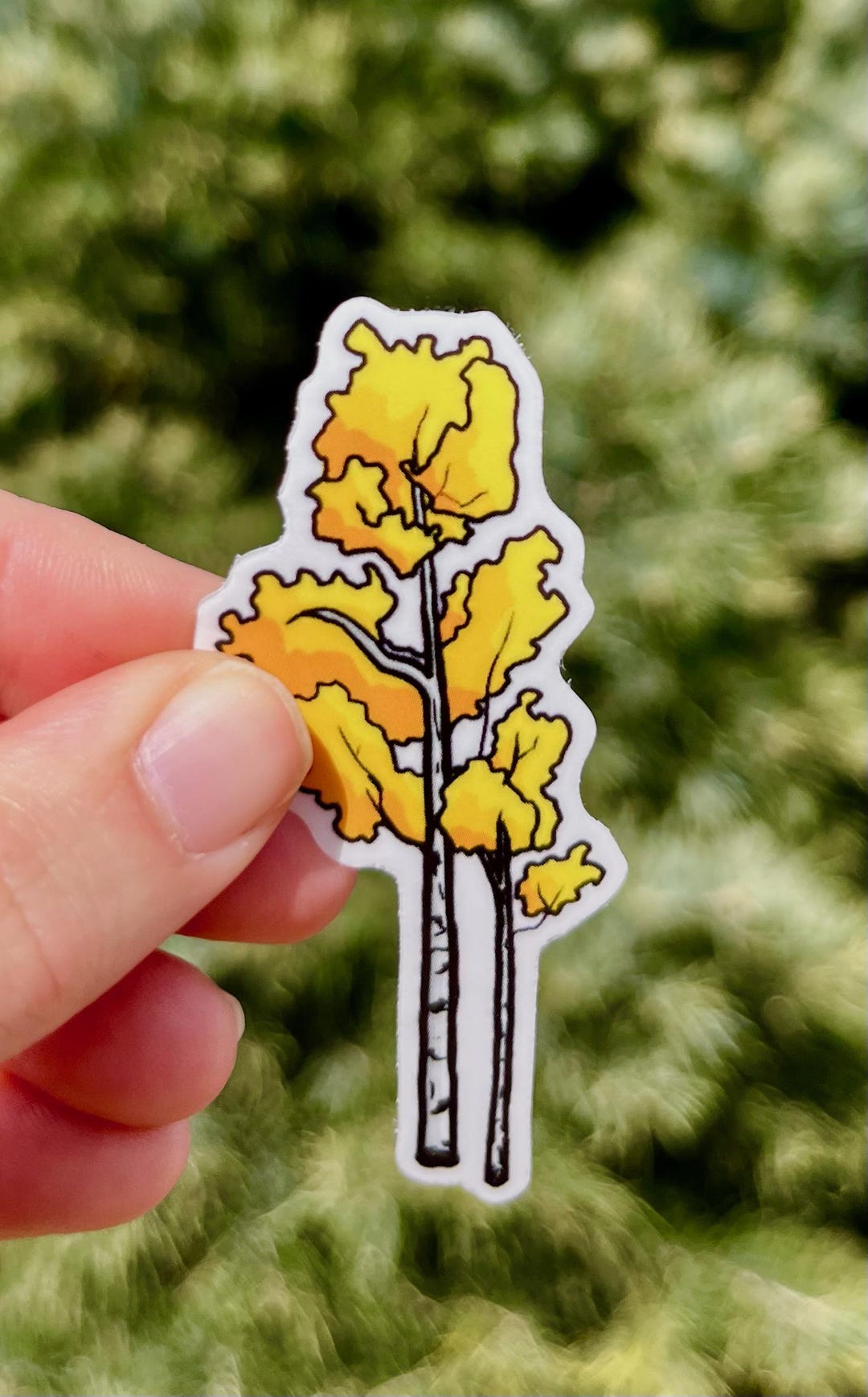 Aspen Duo Transparent Vinyl Sticker - Etsy