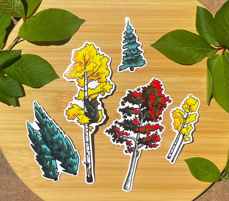 Aspen Tree Black Bear Transparent Vinyl Sticker - Waterproof Nature ...