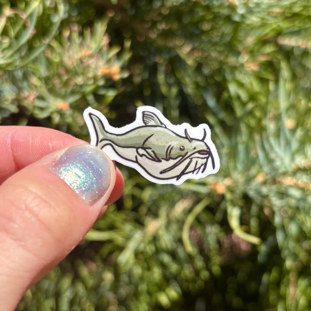 Catfish Transparent Vinyl Sticker - Waterproof Animal Stickers to ...