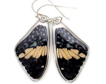 Butterfly Earrings, real butterfly wing, nature lover gift, boho earrings, fairy wings, spiritual gift, Real Red Cracker butterfly earrings