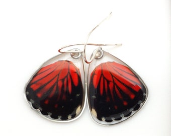 Butterfly Earrings, real butterfly wing, nature lover gift, boho earrings, fairy wings, spiritual gift, Real Red Cracker butterfly earrings