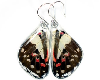 Butterfly Earrings, Real Pale Green Triangle Butterfly earrings