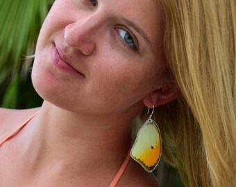 Butterfly Earrings, Woodland earrings, real butterfly earrlngs, Orange Tipped Sulphur Butterfly (Anteos Menippe) (top wings)