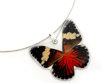 Real Whole Butterfly Pendant Necklace,  Hamadryas Amphinome Butterfly, red and blue butterly