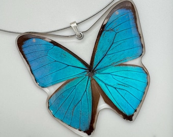 Real Whole Butterfly Pendant Necklace, Blue Morpho Aega