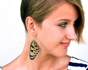 Butterfly Earrings, Real Paper Kite Butterfly (Idea leuconoe) (top/fore wings) earrings