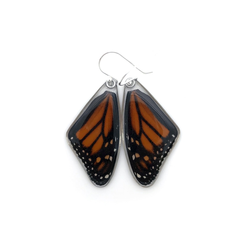 May include: A pair of silver earrings with monarch butterfly wings encased in clear resin. The wings are orange, black, and white.