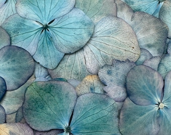 Pressed Hydrangea Petals • Real Dried Blue Teal Purple Flowers for Resin Crafts, Card Making DIY Decor