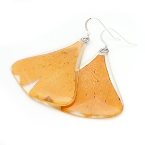 May include: A pair of earrings featuring real ginkgo leaves encased in clear resin. The leaves are a light orange color and have a delicate, intricate pattern. The earrings are suspended from silver hooks.