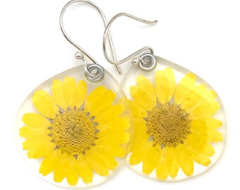 Green thumb, Gardening Gift, Pressed Dried Flower, Flower Earrings, Botanical Jewelry, Nature Inspired, Hostess Gift, Real daisy earrings