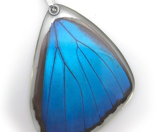Butterfly wing pendant, butterfly wing necklace, real blue morpho butterfly pendant (bottom wing)