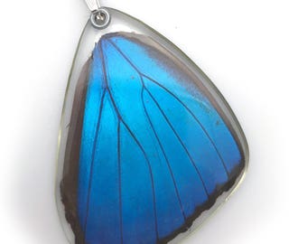 Pendentif aile de papillon, collier aile de papillon, pendentif de papillon morpho bleu (aile bas)