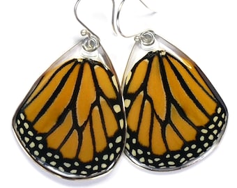 Real Monarch Butterfly (Danaus plexippus) (bottom/hind wings) earrings