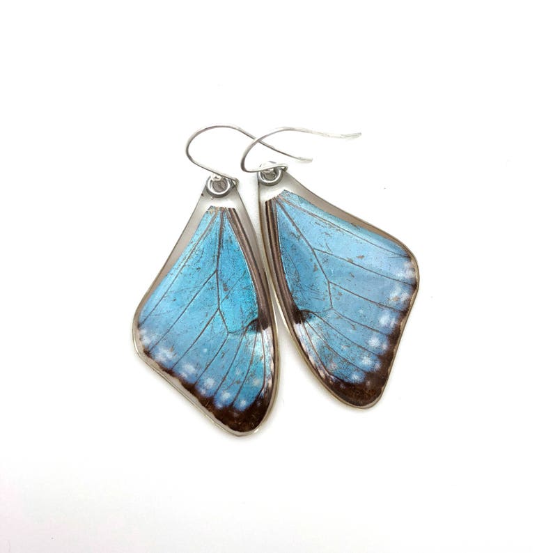 Gift for her, Hostess Gift, Great gift, real Butterfly earrings, Fairy Wings, Real Blue Morpho Portis Butterfly earrings image 5