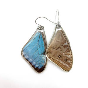 Gift for her, Hostess Gift, Great gift, real Butterfly earrings, Fairy Wings, Real Blue Morpho Portis Butterfly earrings image 3