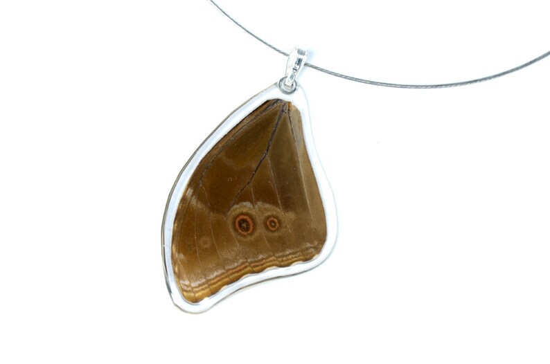 Real blue morpho butterfly pendant image 2