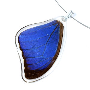 Real blue morpho butterfly pendant image 1