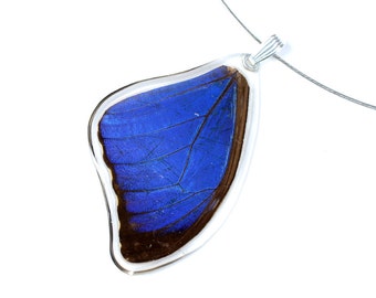 Real blue morpho butterfly pendant