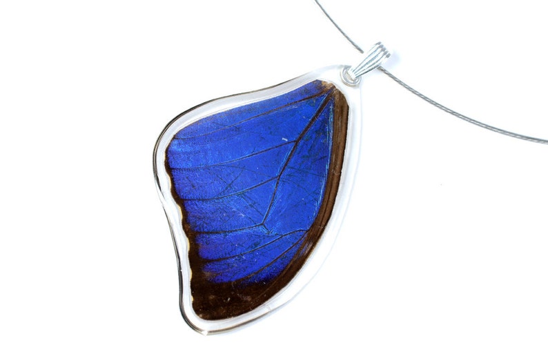 Real blue morpho butterfly pendant image 1