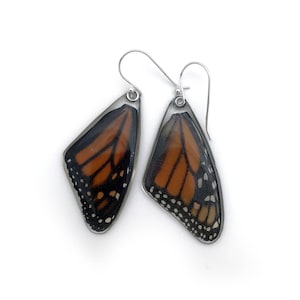 May include: A pair of silver earrings featuring a monarch butterfly wing encased in clear resin. The wings are orange, black, and white.
