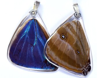 Real Butterfly Wing Pendant, Blue Morpho Adonis (bottom/hind wing)