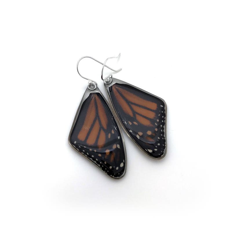 May include: A pair of earrings featuring real monarch butterfly wings encased in clear resin. The wings are a vibrant orange with black veins and white spots. The earrings have silver hooks.