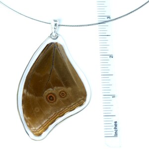 Real blue morpho butterfly pendant image 3