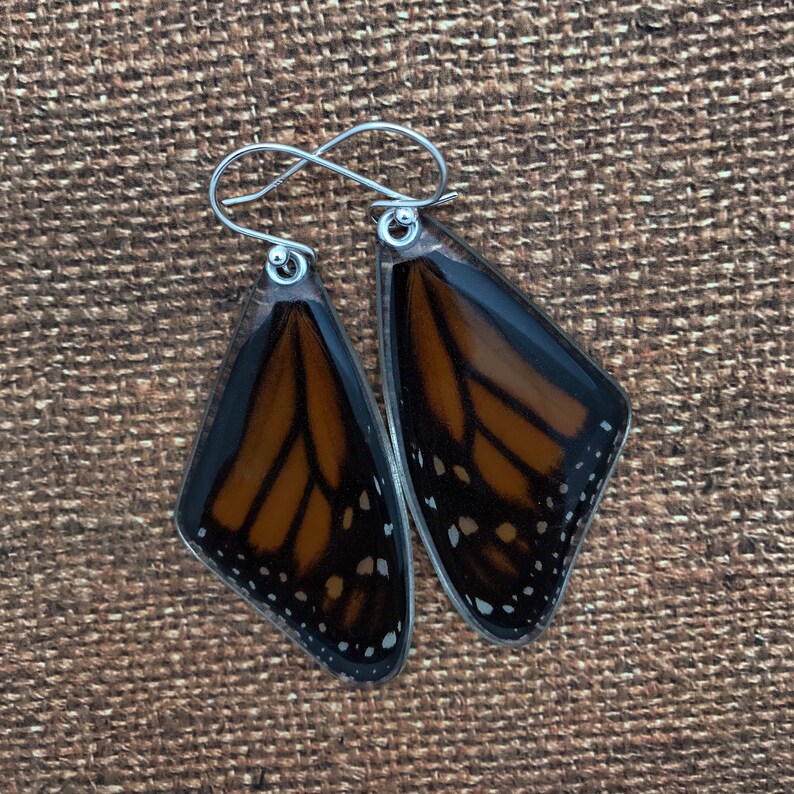 May include: A pair of earrings featuring real monarch butterfly wings encased in clear resin. The wings are a vibrant orange with black veins and white spots. The earrings have silver hooks.