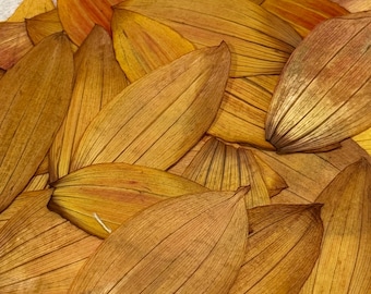 Pressed Dahlia Petals • Real Dried Yellow Flower Petals for Resin Crafts, Card Making, Bath & DIY Decor