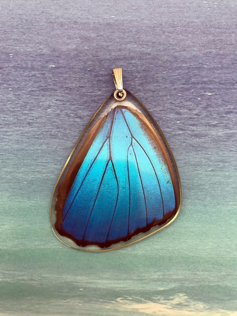 Butterfly Wing Pendant Butterfly Wing Necklace Real Blue Etsy