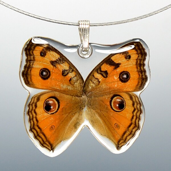 Real Whole Butterfly Pendant Necklace, Peacock Pansy Butterfly