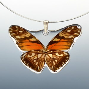 Real Whole Butterfly Pendant Necklace, Mexican Silverspot Butterfly