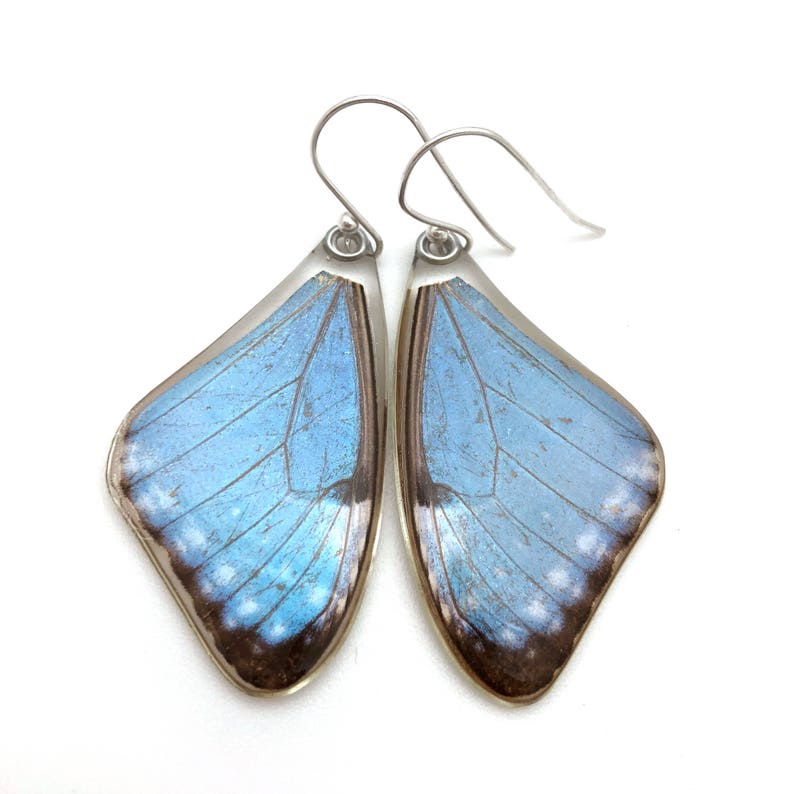 Gift for her, Hostess Gift, Great gift, real Butterfly earrings, Fairy Wings, Real Blue Morpho Portis Butterfly earrings image 2