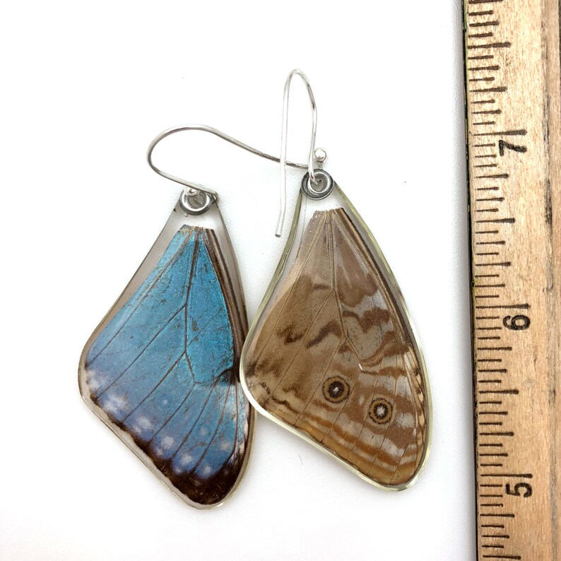 Gift for her, Hostess Gift, Great gift, real Butterfly earrings, Fairy Wings, Real Blue Morpho Portis Butterfly earrings image 4