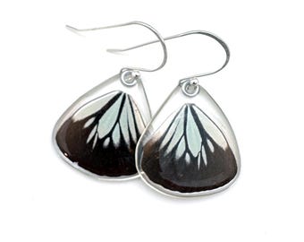 Butterfly Earrings, Real Wanderer Butterfly (Pareronia Valeria), (bottom/hind wings) earrings