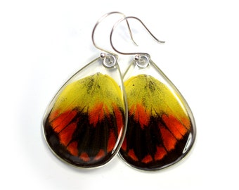 Butterfly earrings, Red Delias Butterfly (bottom/hind wings) earrings