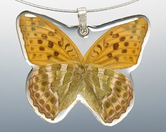 Real Whole Butterfly Pendant Necklace, Pallas' Fritillary Butterfly