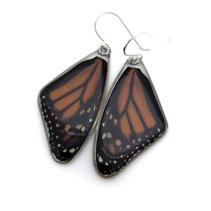 May include: A pair of earrings featuring real monarch butterfly wings encased in clear resin. The wings are a vibrant orange with black veins and white spots. The earrings have silver hooks.
