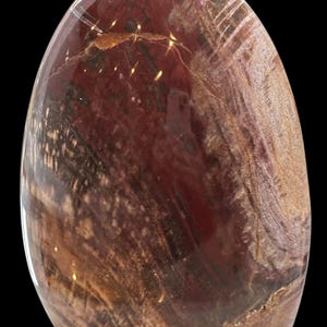 May include: A polished, oval-shaped stone with a mix of deep red, brown, and tan hues. The surface has a glossy finish, revealing intricate patterns and natural veining. The stone is set against a black background, highlighting its unique colors and textures.