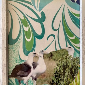 Può includere: Un collage incorniciato con tre uccelli bianchi con segni neri, su uno sfondo di motivi astratti verdi e blu. Gli uccelli sono appollaiati su un cespuglio verde con uno sfondo marrone.