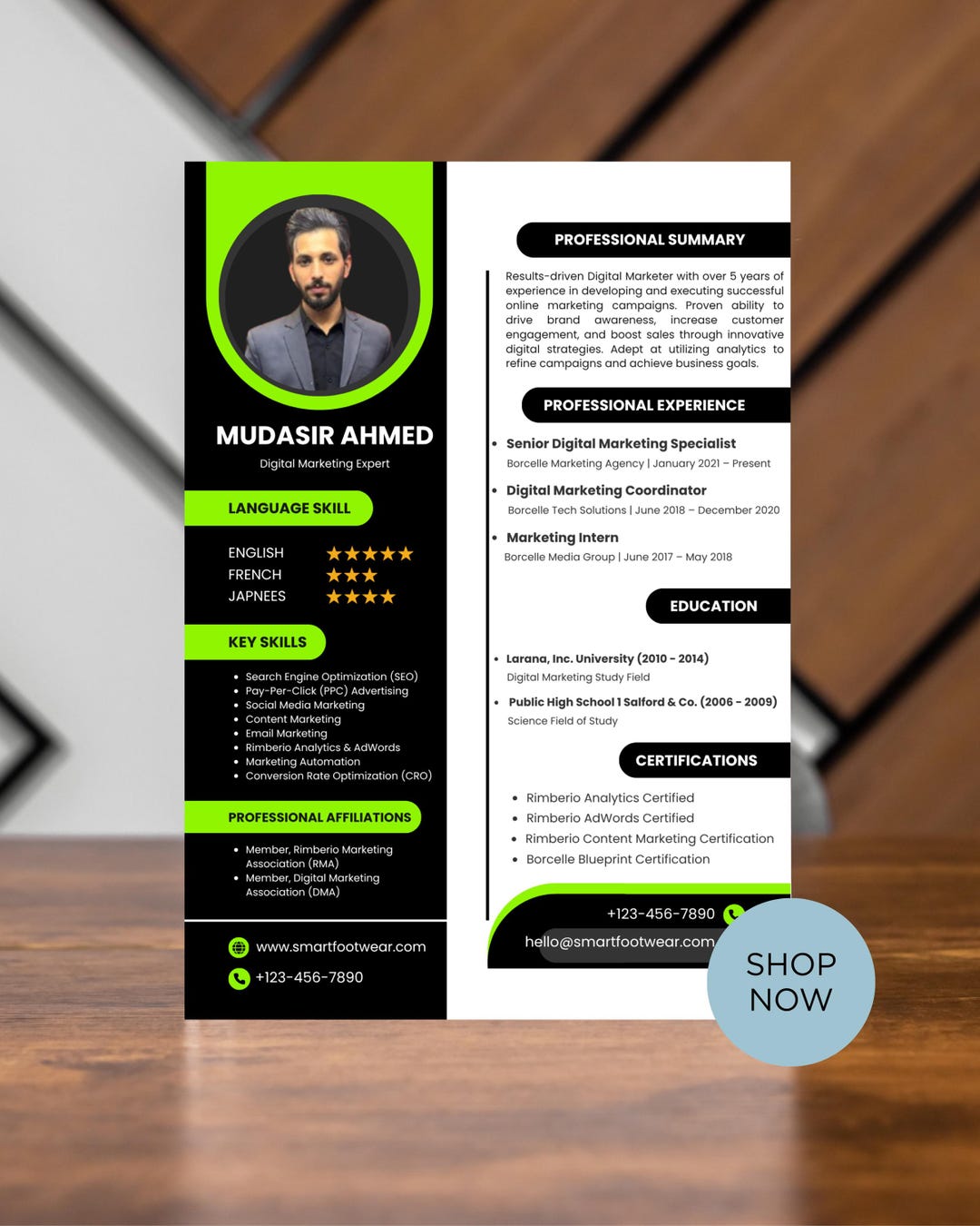 Editable Canva Resume Template | Professional Modern CV (instant ...