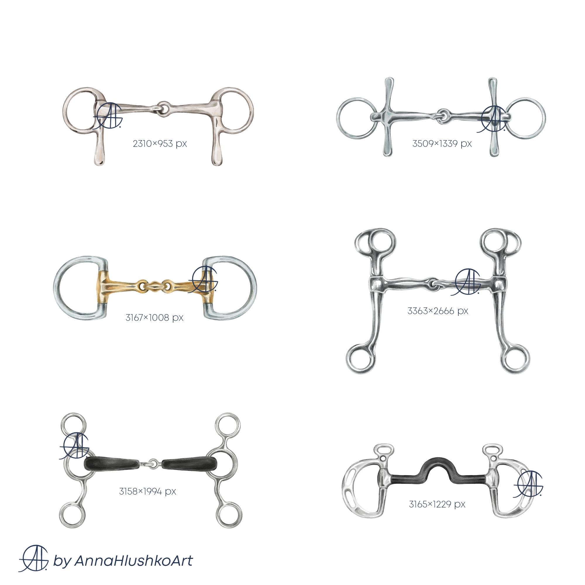 Horse Snaffle Bits Clipart Bundle | Equestrian Tack PNG | Watercolor ...