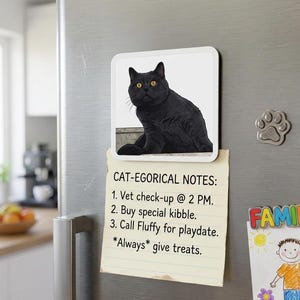 May include: A refrigerator magnet featuring a black cat with yellow eyes. Below the magnet is a notepad with the text "CAT-EGORICAL NOTES" and reminders for vet check-up, kibble, playdate, and treats.