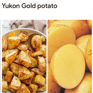 May include: The image shows Yukon Gold potatoes. On the left, roasted potato wedges are in a white bowl. On the right, whole and halved raw potatoes are displayed. The text "Yukon Gold potato" is at the top.