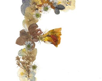 Impresión floral de la letra F - Arte del alfabeto botánico