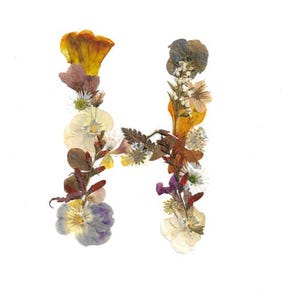 Puede incluir: Un arreglo floral con la forma de la letra "H" sobre un fondo blanco. La letra est&aacute; compuesta por varias flores secas en tonos amarillos, morados, marrones y blancos, creando un dise&ntilde;o natural y art&iacute;stico.