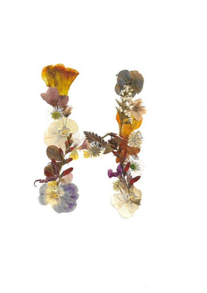 Puede incluir: Un arreglo floral con la forma de la letra "H" sobre un fondo blanco. La letra est&aacute; compuesta por varias flores secas en tonos amarillos, morados, marrones y blancos, creando un dise&ntilde;o natural y art&iacute;stico.