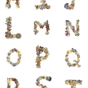 Puede incluir: Una serie de letras del alfabeto, de la H a la T, formadas con flores secas. Las letras est&aacute;n dispuestas sobre un fondo blanco. Las flores, en tonos amarillos, morados y marrones, crean un dise&ntilde;o natural y art&iacute;stico.