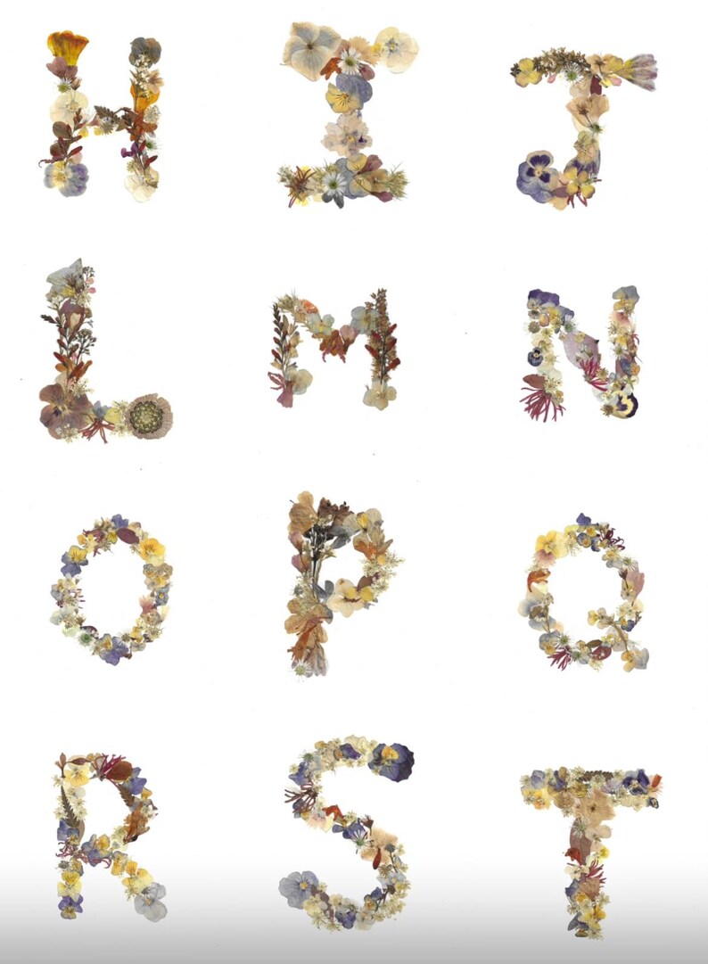 Puede incluir: Una serie de letras del alfabeto, de la H a la T, formadas con flores secas. Las letras est&aacute;n dispuestas sobre un fondo blanco. Las flores, en tonos amarillos, morados y marrones, crean un dise&ntilde;o natural y art&iacute;stico.