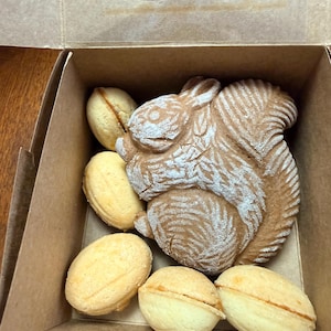 Può includere: Una scatola di cartone marrone contiene un grande biscotto a forma di scoiattolo dettagliato e diversi biscotti più piccoli a forma ovale. Il biscotto a forma di scoiattolo ha dettagli bianchi e i biscotti più piccoli sono giallo chiaro.